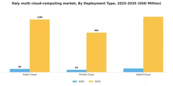 Italy Multi Cloud Computing Market Segment Image 1