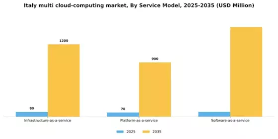 Italy Multi Cloud Computing Market Segment Image 3
