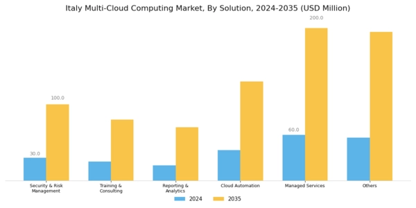 Italy Multi Cloud Computing Market Segment Image 0
