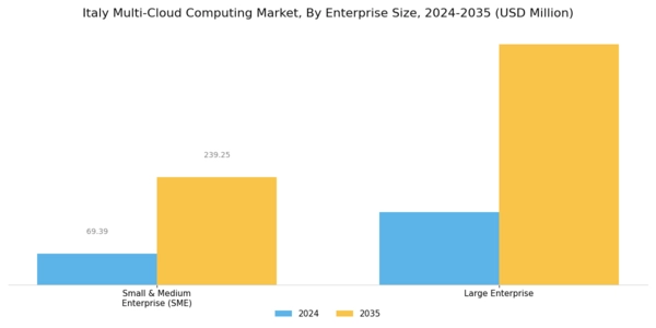 Italy Multi Cloud Computing Market Segment Image 1