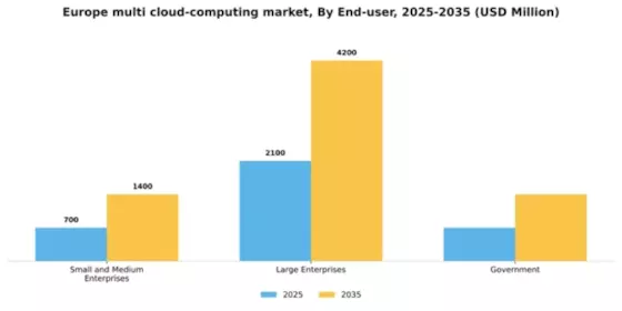 Europe Multi Cloud Computing Market Segment Image 2