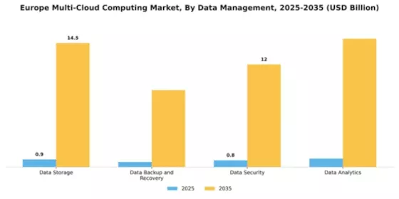 Europe Multi Cloud Computing Market Segment Image 0