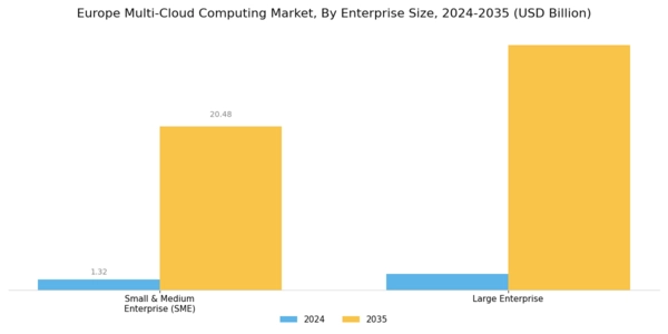 Europe Multi Cloud Computing Market Segment Image 1