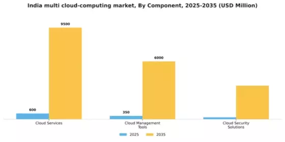 India Multi Cloud Computing Market Segment Image 0
