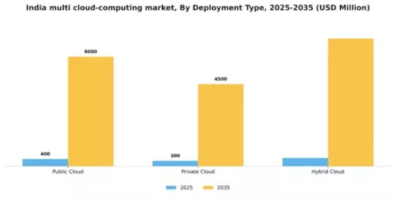 India Multi Cloud Computing Market Segment Image 1