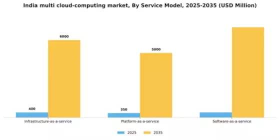 India Multi Cloud Computing Market Segment Image 3