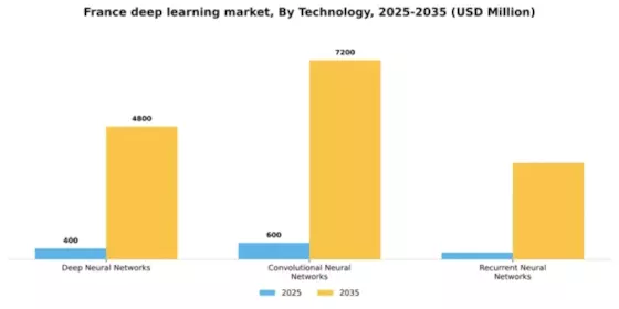 France Deep Learning Market Segment Image 3