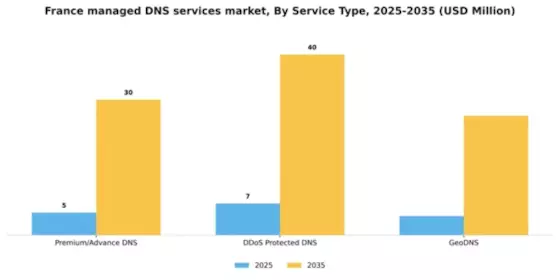France Managed Dns Services Market Segment Image 2
