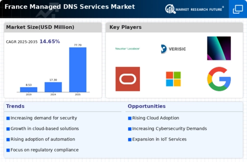 France Managed Dns Services Market Infographic