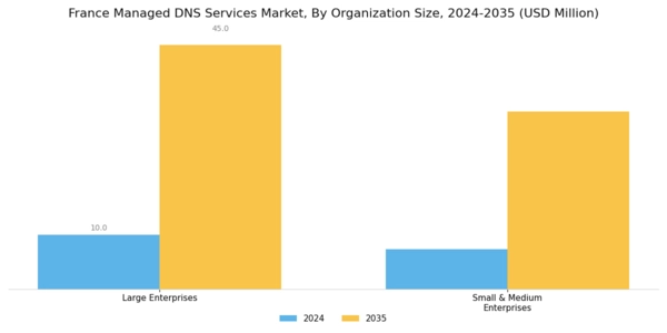 France Managed Dns Services Market Segment Image 1