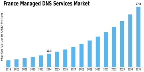 France Managed Dns Services Market Size