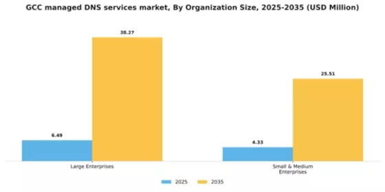 GCC Managed Dns Services Market Segment Image 1
