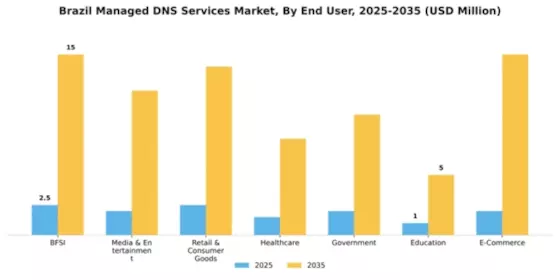 Brazil Managed Dns Services Market Segment Image 0