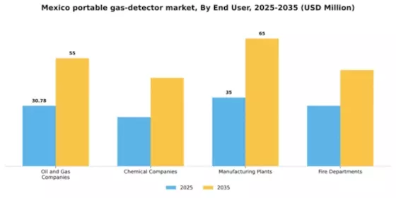 Mexico Portable Gas Detector Market Segment Image 1