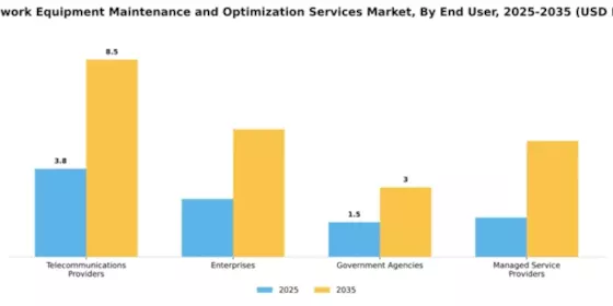 5G Network Equipment Maintenance and Optimization Services Market Segment Image 1