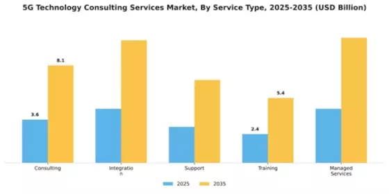 5G Technology Consulting Services Market Segment Image 3