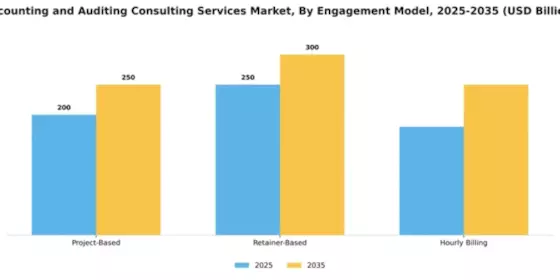 Accounting and Auditing Consulting Services Market Segment Image 1
