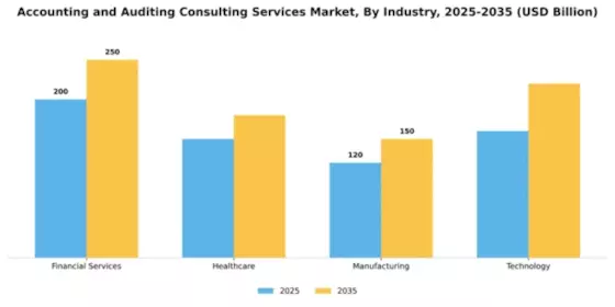 Accounting and Auditing Consulting Services Market Segment Image 2