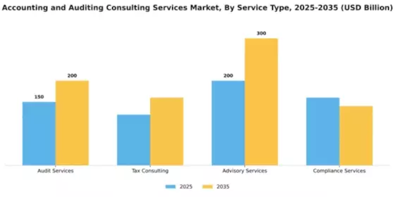 Accounting and Auditing Consulting Services Market Segment Image 3