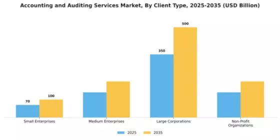 Accounting and Auditing Services Market Segment Image 0