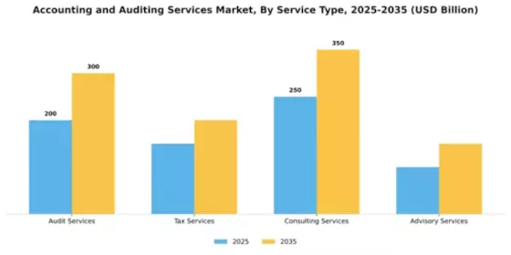 Accounting and Auditing Services Market Segment Image 2