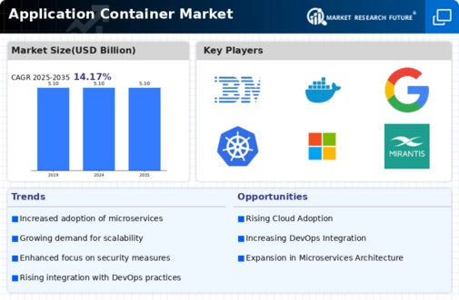 Application Container Market Infographic
