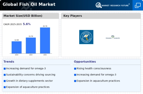 Fish Oil Market Infographic