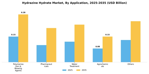 Hydrazine Hydrate Market Segment Image 0