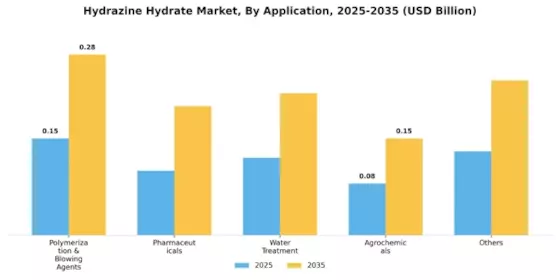 Hydrazine Hydrate Market Segment Image 1