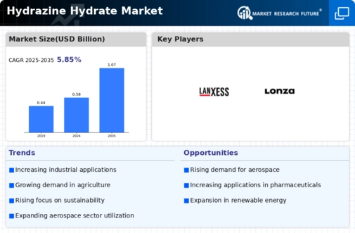 Hydrazine Hydrate Market Infographic