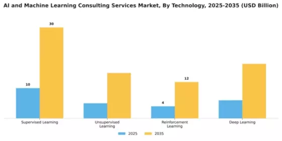 AI and Machine Learning Consulting Services Market Segment Image 4