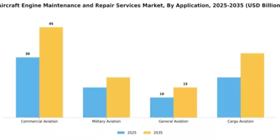 Aircraft Engine Maintenance and Repair Services Market Segment Image 0