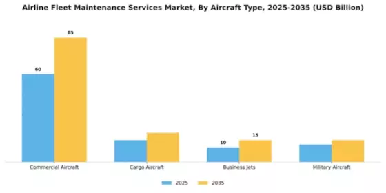 Airline Fleet Maintenance Services Market Segment Image 0