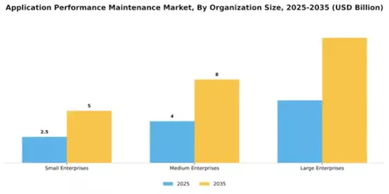 Application Performance Maintenance Market Segment Image 3
