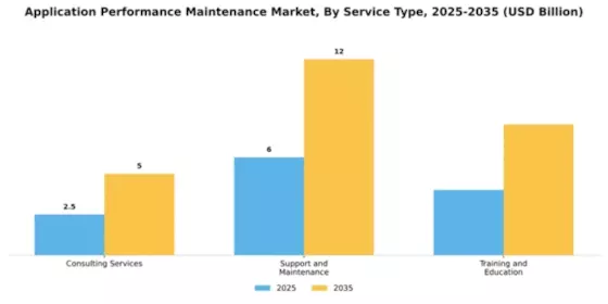 Application Performance Maintenance Market Segment Image 4