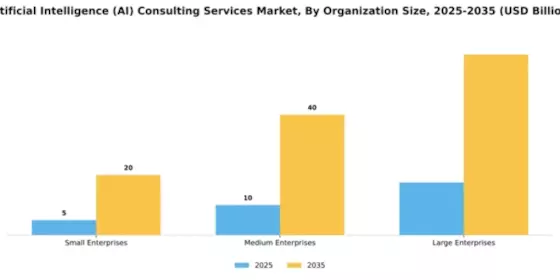 Artificial Intelligence (AI) Consulting Services Market Segment Image 3