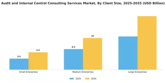Audit and Internal Control Consulting Services Market Segment Image 1