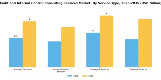 Audit and Internal Control Consulting Services Market Segment Image 4