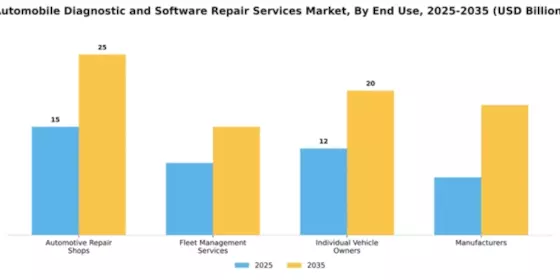 Automobile Diagnostic and Software Repair Services Market Segment Image 1