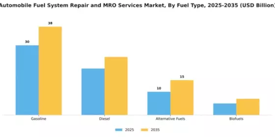 Automobile Fuel System Repair and MRO Services Market Segment Image 2