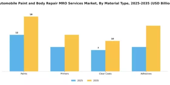 Automobile Paint and Body Repair MRO Services Market Segment Image 2
