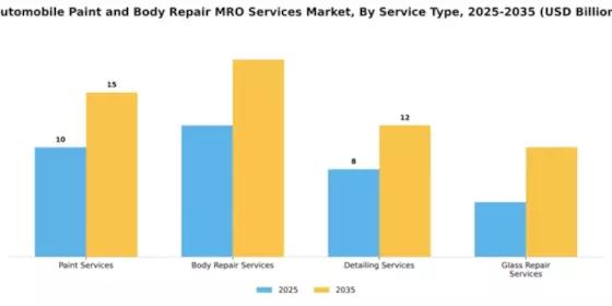 Automobile Paint and Body Repair MRO Services Market Segment Image 3
