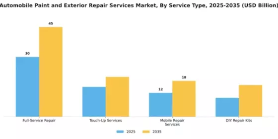 Automobile Paint and Exterior Repair Services Market Segment Image 2