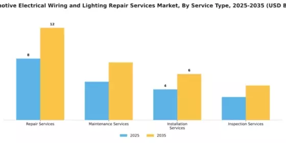 Automotive Electrical Wiring and Lighting Repair Services Market Segment Image 3