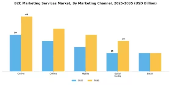 B2C Marketing Services Market Segment Image 1