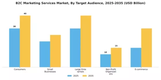 B2C Marketing Services Market Segment Image 3