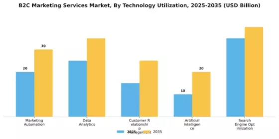 B2C Marketing Services Market Segment Image 4