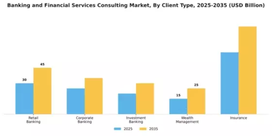 Banking and Financial Services Consulting Market Segment Image 0