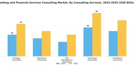 Banking and Financial Services Consulting Market Segment Image 1