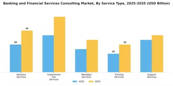Banking and Financial Services Consulting Market Segment Image 2